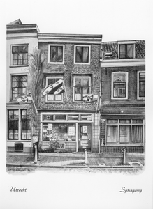 603299 Gezicht op de voorgevel van het huis Springweg 82 te Utrecht.